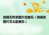微信怎样发图片加音乐（微信发图片怎么配音乐）