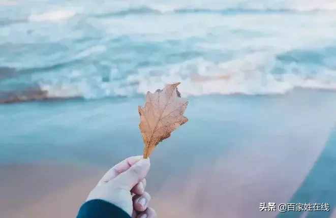 你几月出生,就是什么神仙!