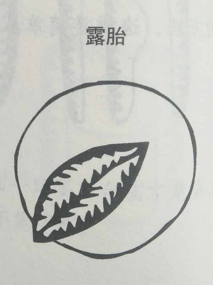 坟墓风水暗含玄机，何为凶坟？建议初学者加以收藏！