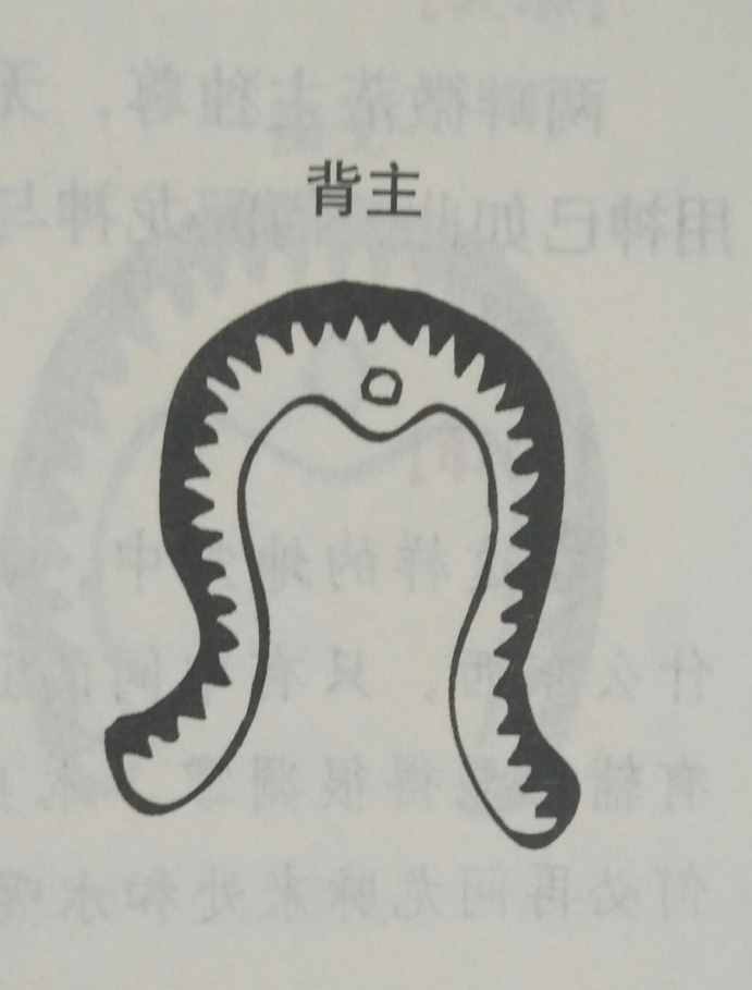 坟墓风水暗含玄机，何为凶坟？建议初学者加以收藏！