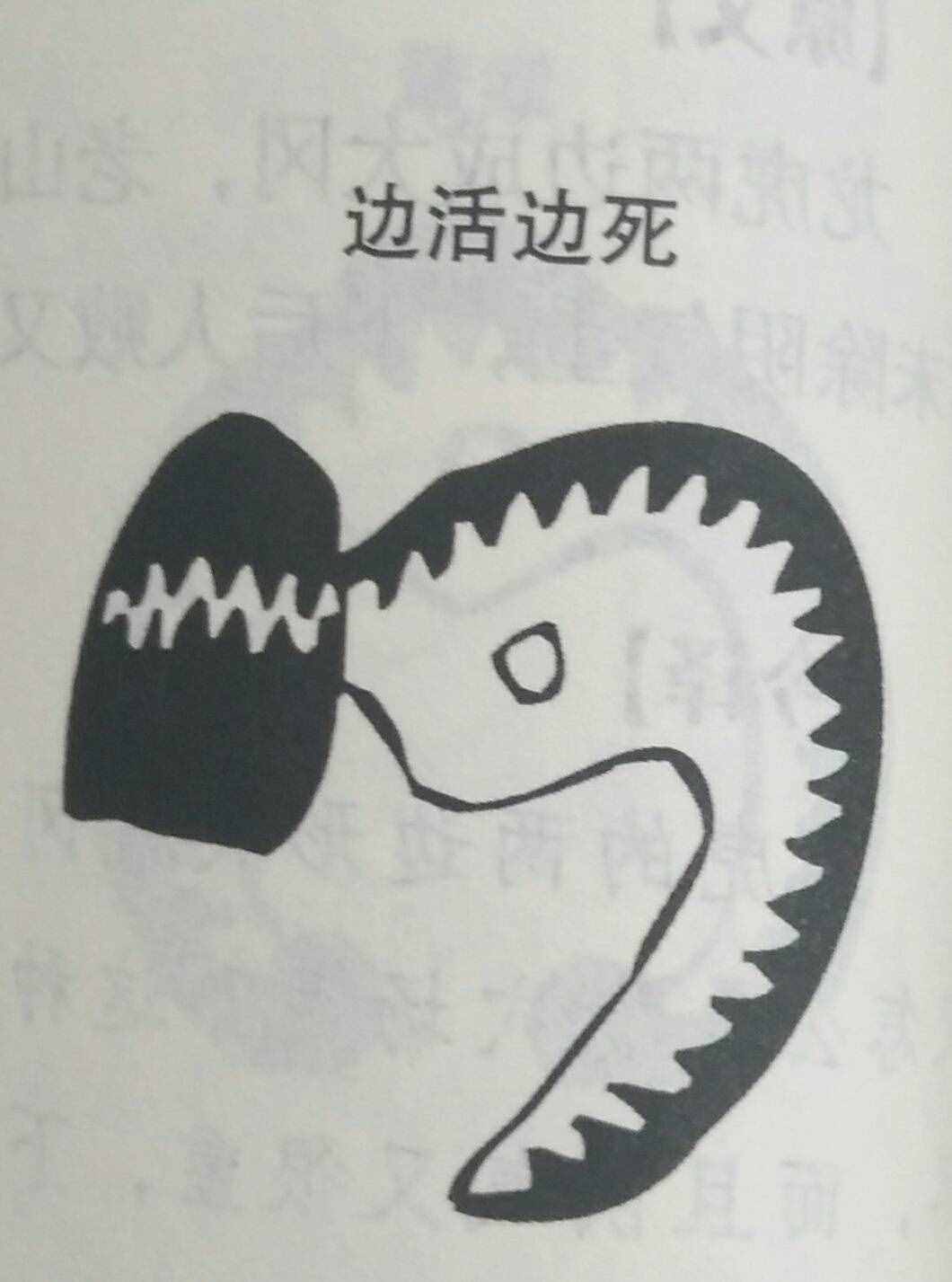 坟墓风水暗含玄机，何为凶坟？建议初学者加以收藏！