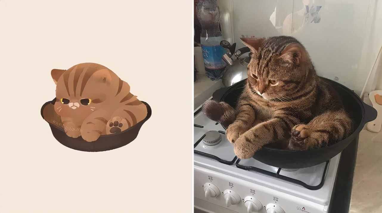 一组萌化人心的猫咪插画，每张都超适合当头像