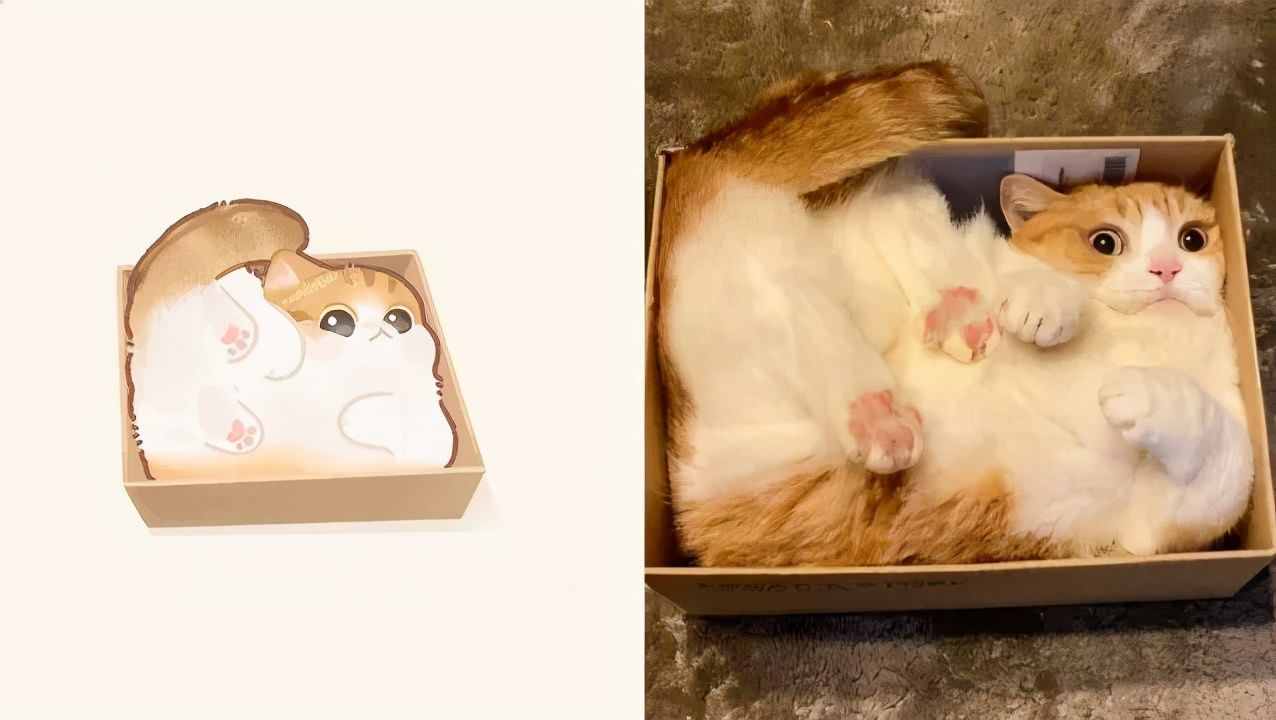 一组萌化人心的猫咪插画，每张都超适合当头像