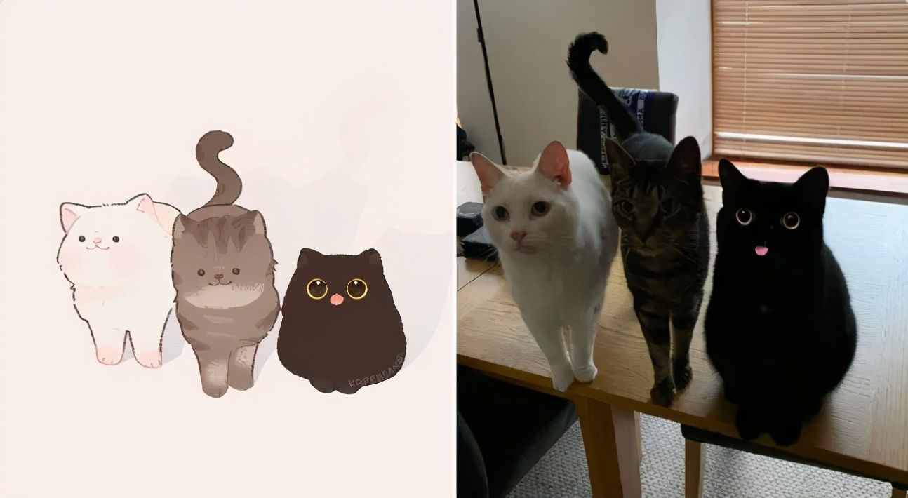 一组萌化人心的猫咪插画，每张都超适合当头像