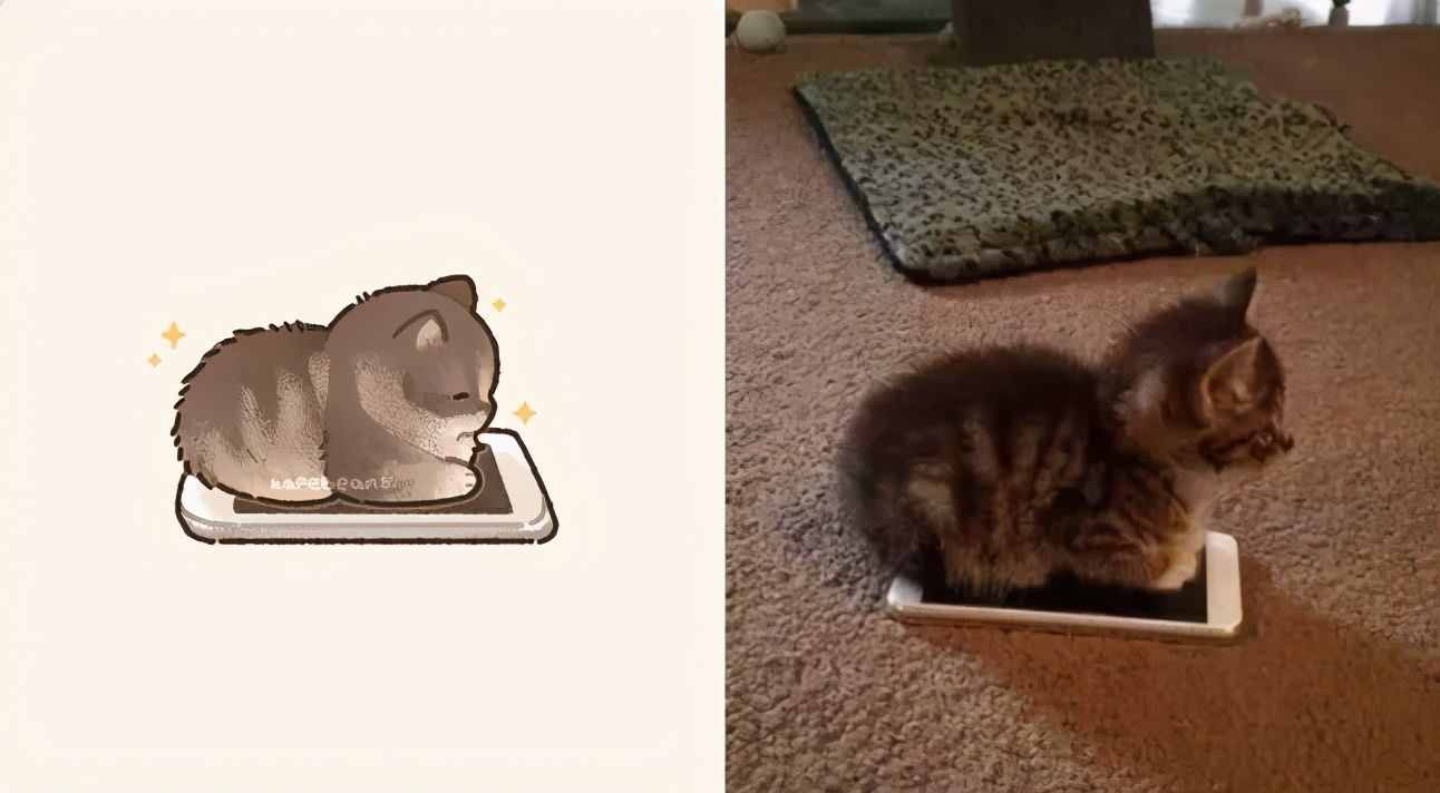 一组萌化人心的猫咪插画，每张都超适合当头像