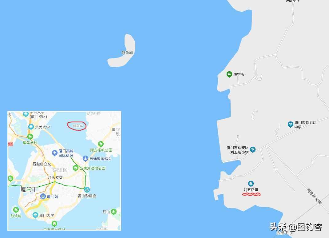 文昌鱼：因朱熹而得名，在地球上存在了5亿年，是生物“活化石”