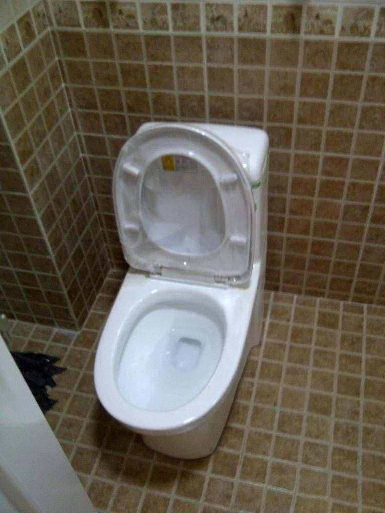 麻烦！抽水马桶水箱漏水了，找师傅过来看看，原来是这里出了问题