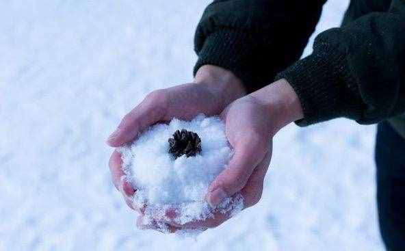 「新诗采撷」冯烨｜掌心化雪