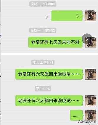 3天领2次盒饭,惨吗?最“惨”的是袁弘和张歆艺的爱情