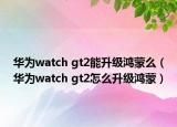 华为watch gt2能升级鸿蒙么（华为watch gt2怎么升级鸿蒙）