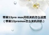 苹果13pro max开机关机怎么设置（苹果13promax怎么关机开机）
