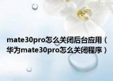 mate30pro怎么关闭后台应用（华为mate30pro怎么关闭程序）