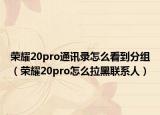 荣耀20pro通讯录怎么看到分组（荣耀20pro怎么拉黑联系人）