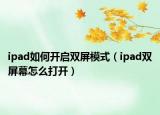 ipad如何开启双屏模式（ipad双屏幕怎么打开）