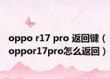 oppo r17 pro 返回键（oppor17pro怎么返回）