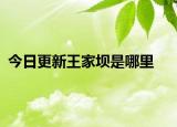 今日更新王家坝是哪里