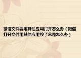 微信文件要用其他应用打开怎么办（微信打开文件用其他应用按了总是怎么办）