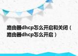 路由器dhcp怎么开启和关闭（路由器dhcp怎么开启）