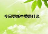 今日更新牛蒡是什么