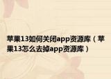 苹果13如何关闭app资源库（苹果13怎么去掉app资源库）