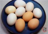 今日更新怎么识别假鸡蛋（教你识别人造蛋）