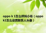 oppo k 1怎么呼叫小布（oppok1怎么设置联系人头像）