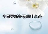 今日更新冬天喝什么茶