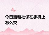 今日更新社保在手机上怎么交