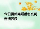 今日更新离婚后怎么判定抚养权