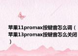 苹果11promax按键音怎么调（苹果13promax按键音怎么关闭）