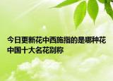 今日更新花中西施指的是哪种花中国十大名花别称