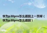 华为p30pro怎么返回上一页呀（华为p30pro怎么返回）