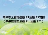 苹果怎么看短信是卡1还是卡2发的（苹果短信怎么看卡一还是卡二）