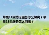 苹果11突然无服务怎么解决（苹果11无服务怎么回事）
