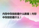 内存中存放的是什么数据（内存中存放的是什么）
