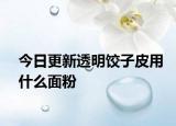 今日更新透明饺子皮用什么面粉