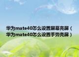 华为mate40怎么设置屏幕亮屏（华为mate40怎么设置手势亮屏）