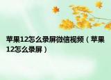 苹果12怎么录屏微信视频（苹果12怎么录屏）