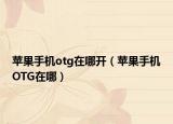 苹果手机otg在哪开（苹果手机OTG在哪）
