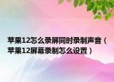 苹果12怎么录屏同时录制声音（苹果12屏幕录制怎么设置）