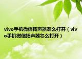 vivo手机微信扬声器怎么打开（vivo手机微信扬声器怎么打开）