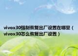 vivox30强制恢复出厂设置在哪里（vivox30怎么恢复出厂设置）