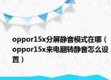 oppor15x分屏静音模式在哪（oppor15x来电翻转静音怎么设置）