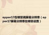 oppor17在哪里调屏幕分辨率（oppor17屏幕分辨率在哪里设置）