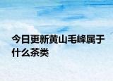今日更新黄山毛峰属于什么茶类