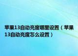 苹果13自动亮度哪里设置（苹果13自动亮度怎么设置）