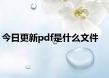 今日更新pdf是什么文件