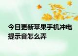 今日更新苹果手机冲电提示音怎么弄