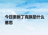 今日更新丁克族是什么意思