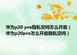 华为p20 pro隐私空间怎么开启（华为p20pro怎么开启隐私空间）